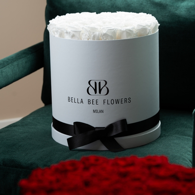 product social media content